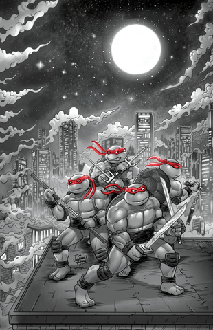 Teenage Mutant Ninja Turtles: Journeys #1 Josh C Lyman Variant B Virgin LTD 500 [8/20/25]